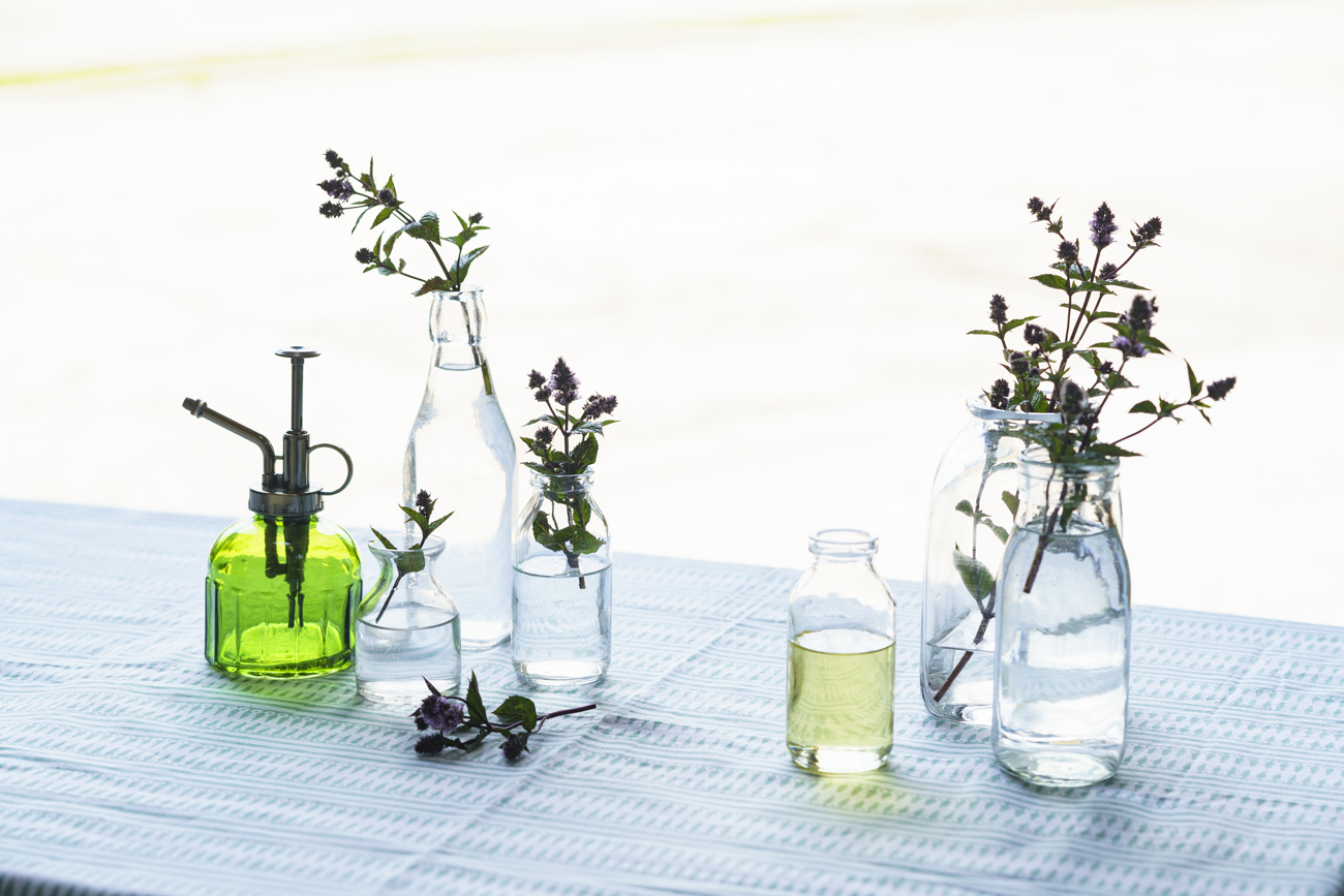 summerdown_mint_farm_20_1119.jpg